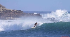 Surfin Lanai Style 2