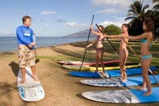 lost-on-maui-maui-activities-cat-sanctuary-travel-tips